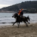 Carrera de caballos y burros