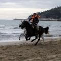 Carrera de caballos y burros