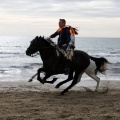 Carrera de caballos y burros