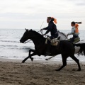 Carrera de caballos y burros