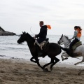 Carrera de caballos y burros