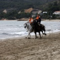 Carrera de caballos y burros