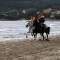 Carrera de caballos y burros