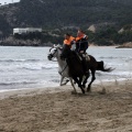 Carrera de caballos y burros