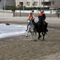 Carrera de caballos y burros