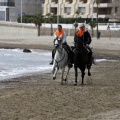 Carrera de caballos y burros