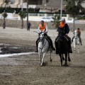 Carrera de caballos y burros