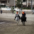 Carrera de caballos y burros