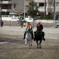 Carrera de caballos y burros