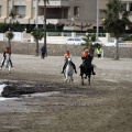 Carrera de caballos y burros