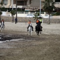 Carrera de caballos y burros