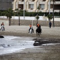 Carrera de caballos y burros