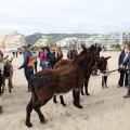 Carrera de caballos y burros