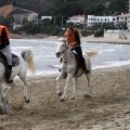 Carrera de caballos y burros