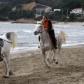 Carrera de caballos y burros