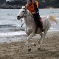 Carrera de caballos y burros