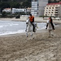 Carrera de caballos y burros