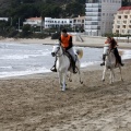 Carrera de caballos y burros