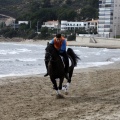 Carrera de caballos y burros