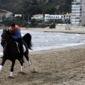 Carrera de caballos y burros