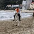 Carrera de caballos y burros