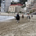 Carrera de caballos y burros