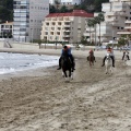 Carrera de caballos y burros