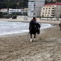 Carrera de caballos y burros