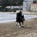 Carrera de caballos y burros