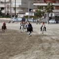 Carrera de caballos y burros