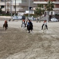 Carrera de caballos y burros