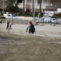 Carrera de caballos y burros