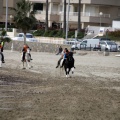 Carrera de caballos y burros