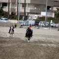 Carrera de caballos y burros