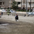 Carrera de caballos y burros