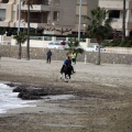 Carrera de caballos y burros