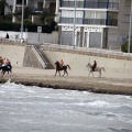 Carrera de caballos y burros
