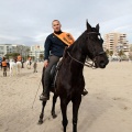 Carrera de caballos y burros