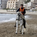 Carrera de caballos y burros