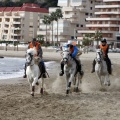 Carrera de caballos y burros