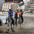 Carrera de caballos y burros