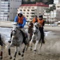 Carrera de caballos y burros