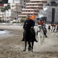 Carrera de caballos y burros