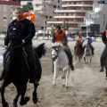 Carrera de caballos y burros