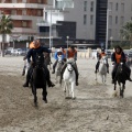 Carrera de caballos y burros