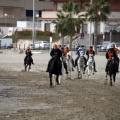 Carrera de caballos y burros