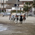 Carrera de caballos y burros