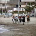 Carrera de caballos y burros