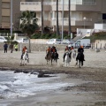 Carrera de caballos y burros