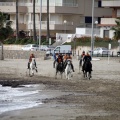 Carrera de caballos y burros